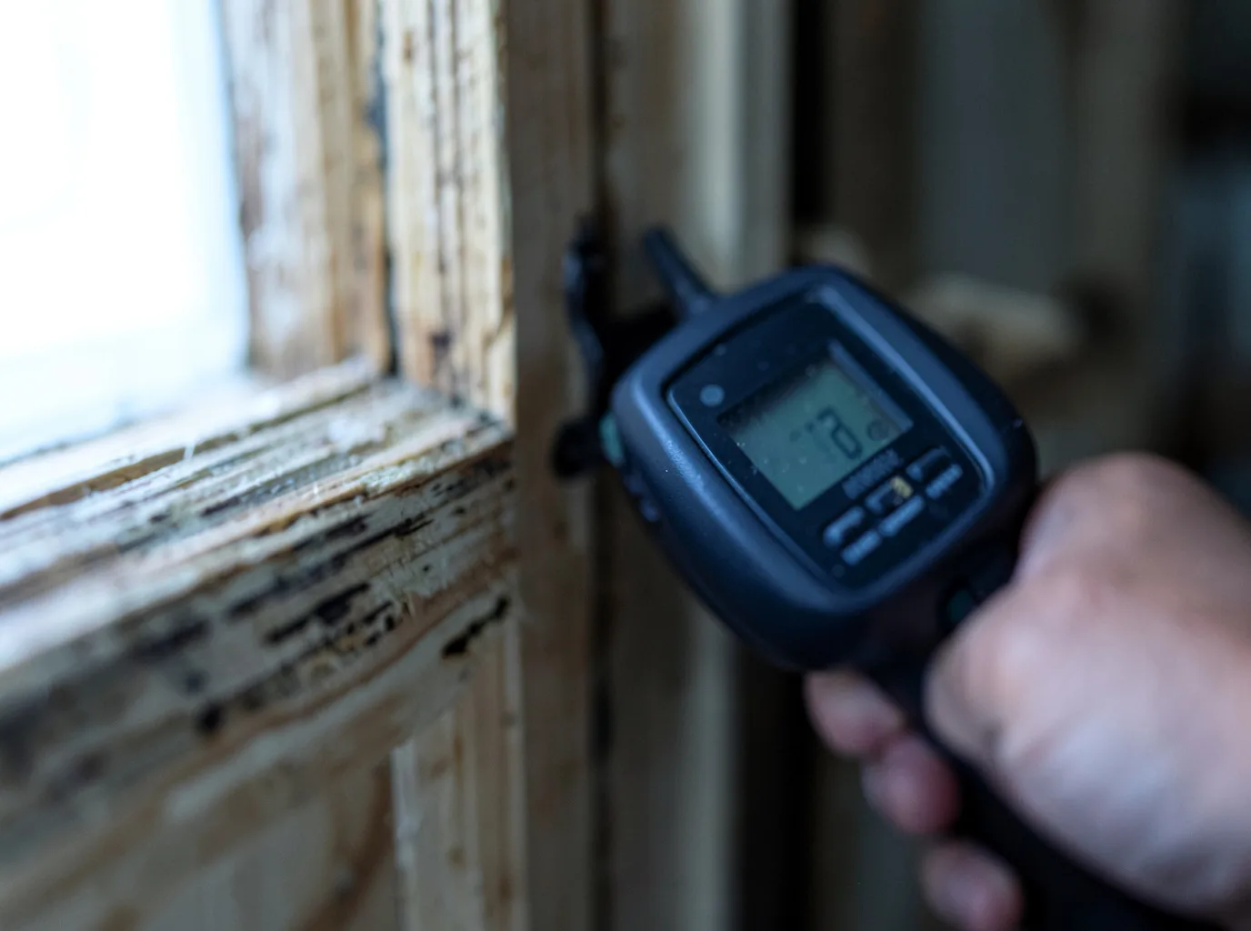 Commercial Water Damage Restoration in Pinecliffe, CO